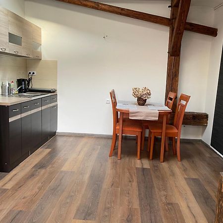 Apartamento Studia Maxim Frýdek-Místek Exterior foto